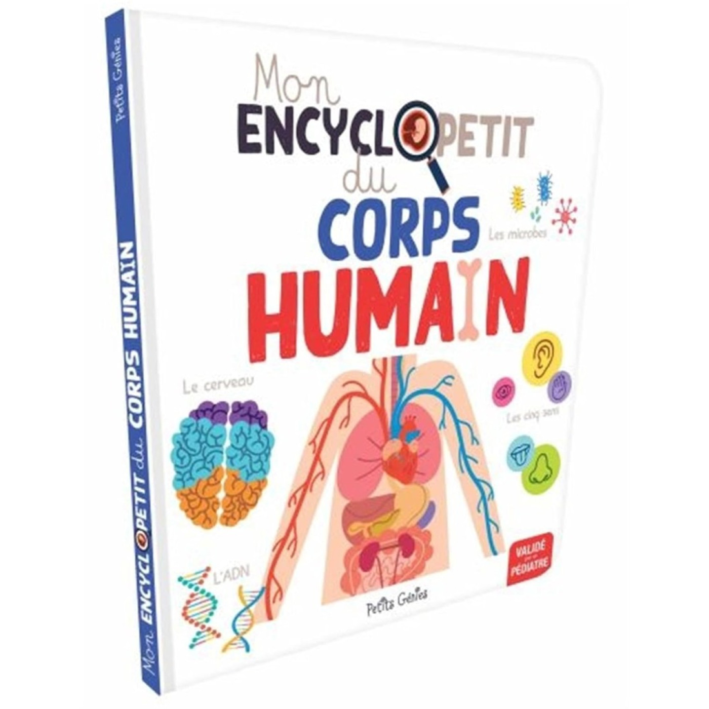 Petits Genies - Mon Encyclopetit du corps Humain - Fransızca Kitap - ST00814 - 9781773881300