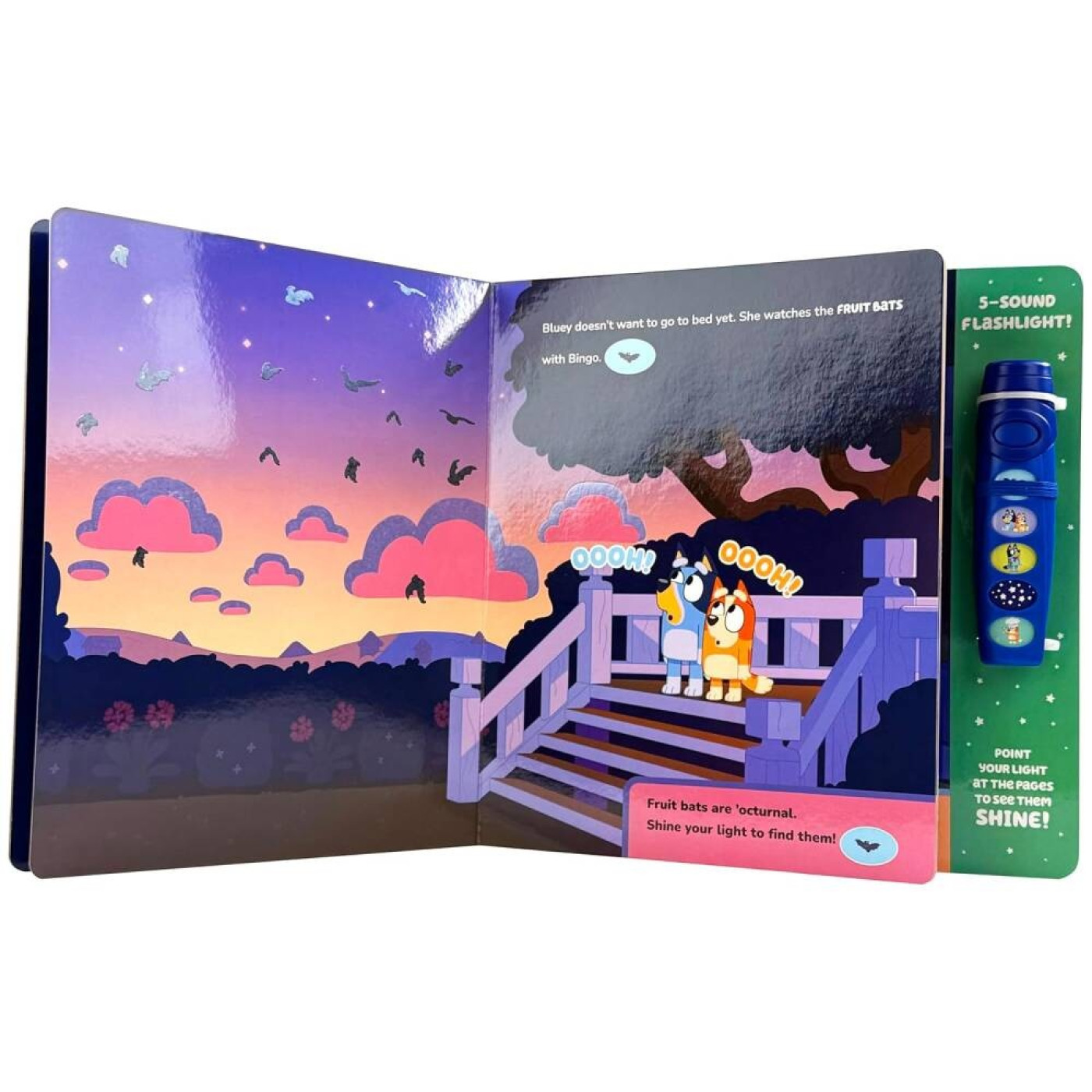 Bluey - Oooh, Shiny!