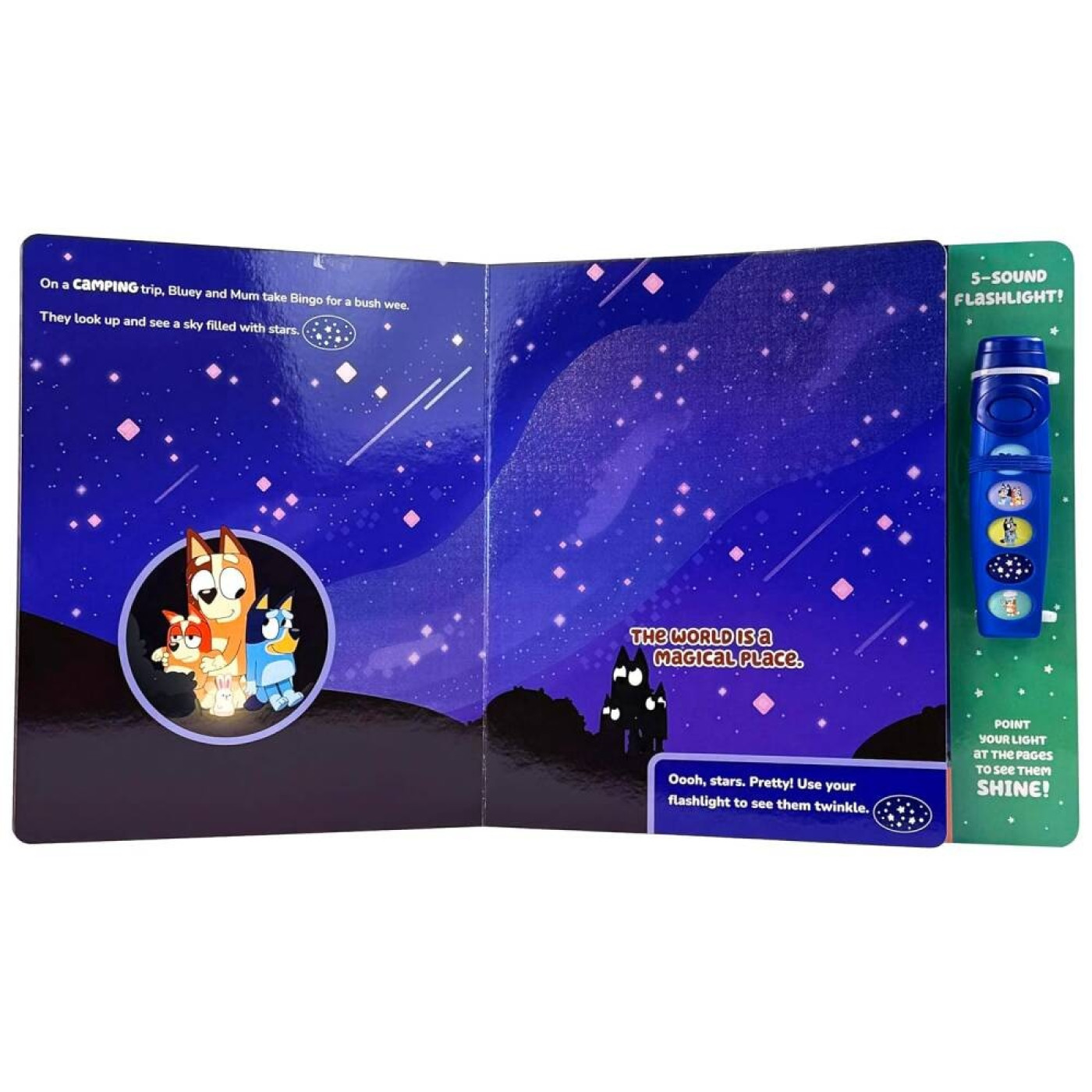 Bluey - Oooh, Shiny!