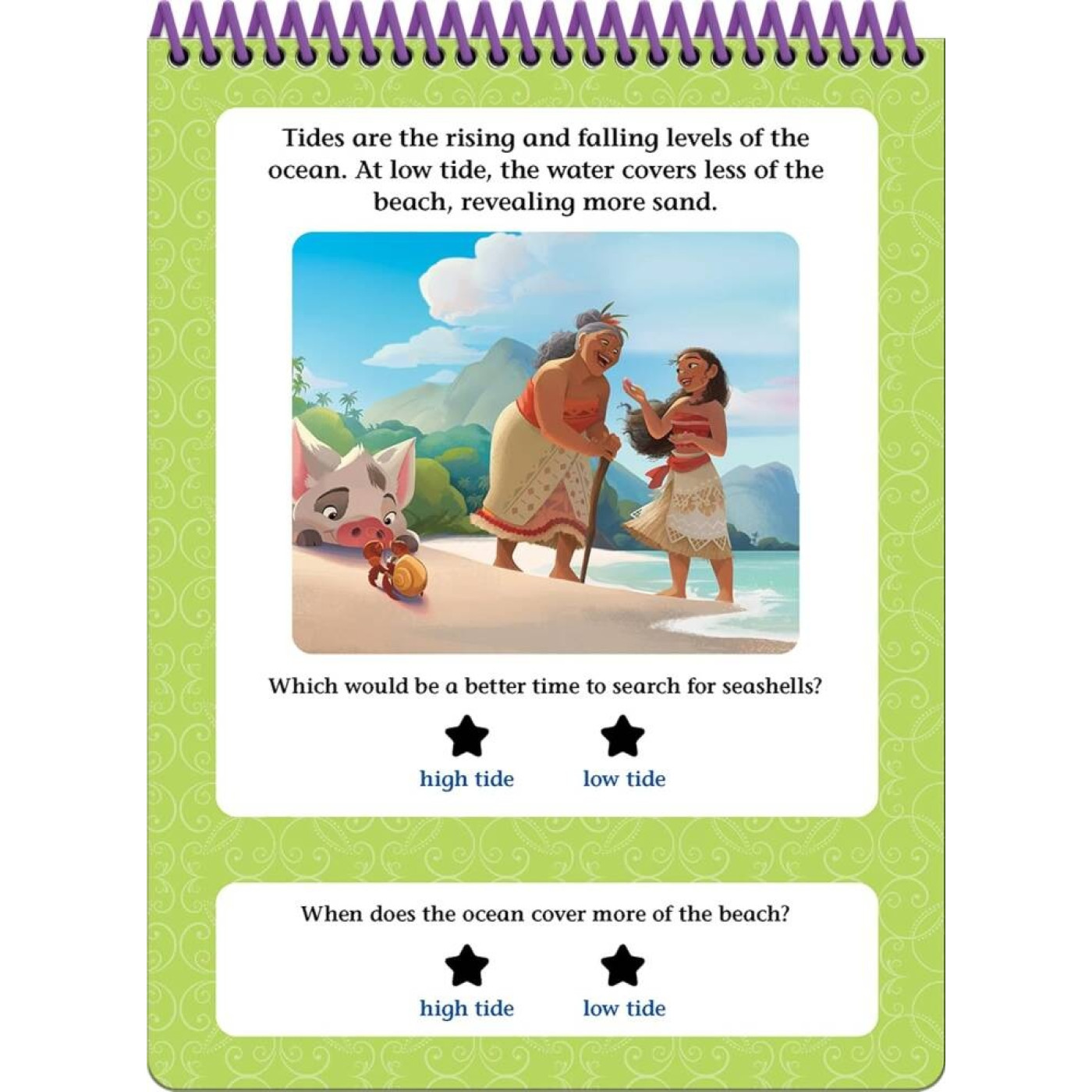 Disney Princess: Quiz it Pen - 4 Book Set and Talking Smart Pen - 9781503763685 - 9781503763685