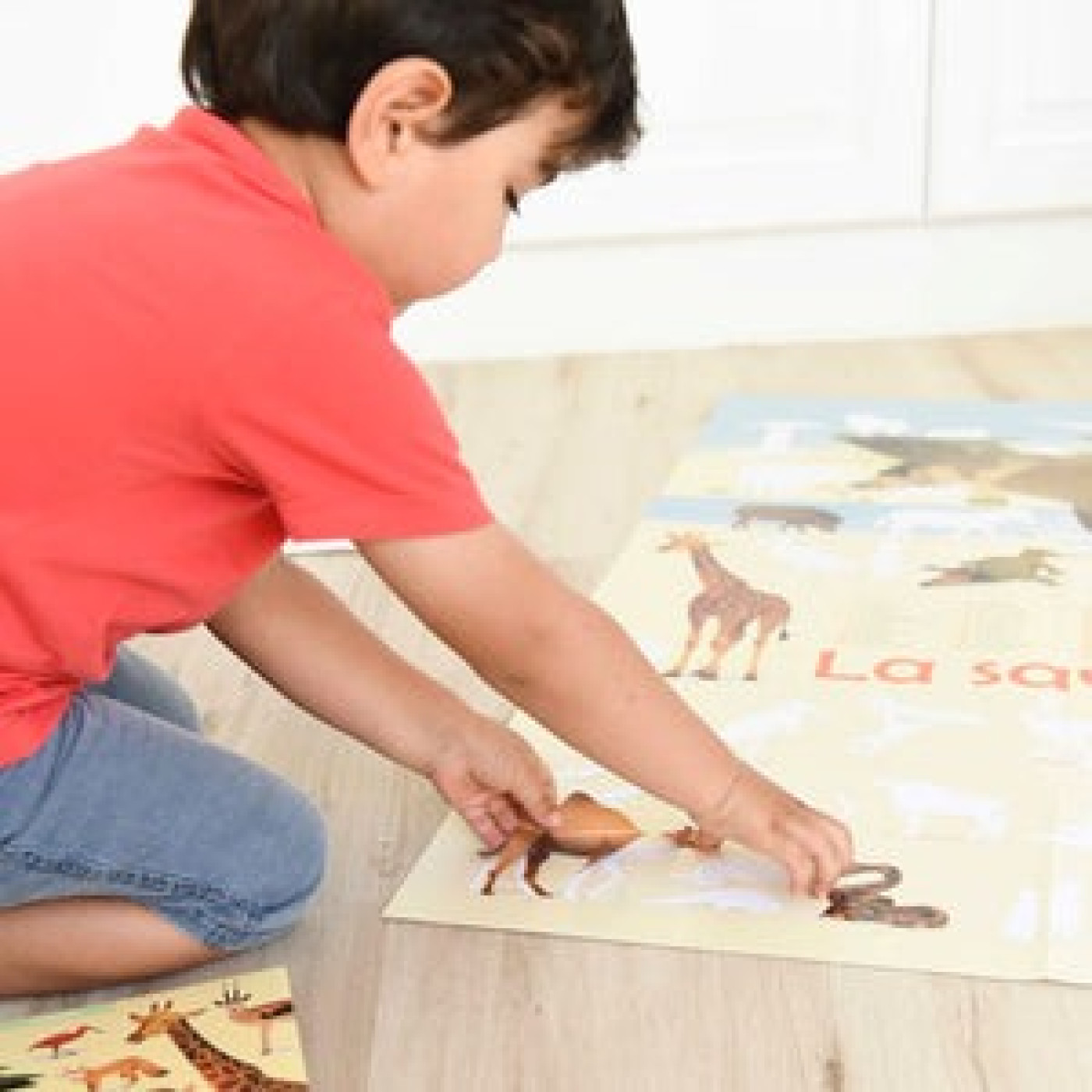 Discovery Savannah - 3760262411637 - 3760262411637