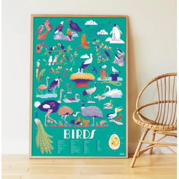 Discovery Birds Discovery Birds