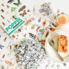 Poppik - Puzzle Insects - 3760262411163 Poppik - Puzzle Insects - 3760262411163 - 3760262411163