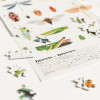 Poppik - Puzzle Insects - 3760262411163 Poppik - Puzzle Insects - 3760262411163 - 3760262411163
