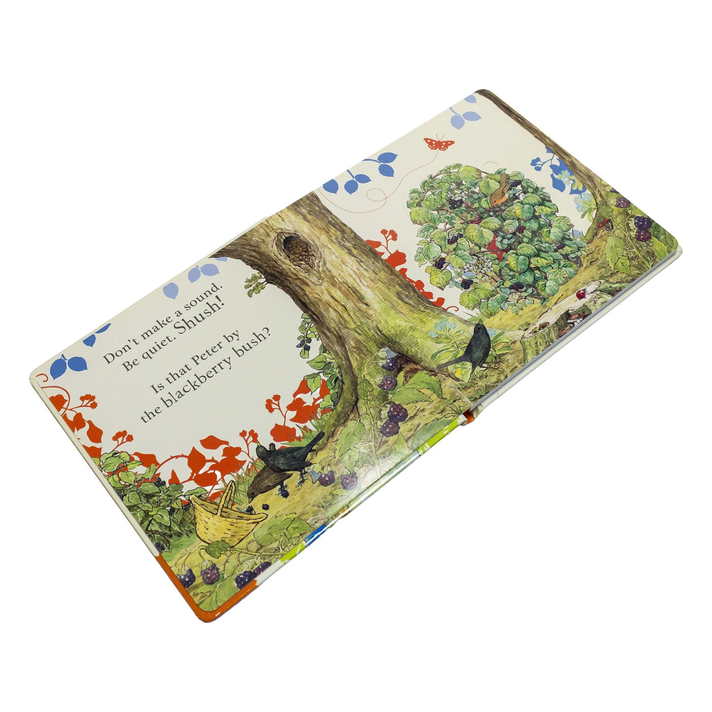 Puffin - Peter Rabbit: Where İs Peter Rabbit? Puffin - Peter Rabbit: Where İs Peter Rabbit?