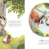 Peter Rabbit: Head Over Tail - Hikaye Kitapları Görseli