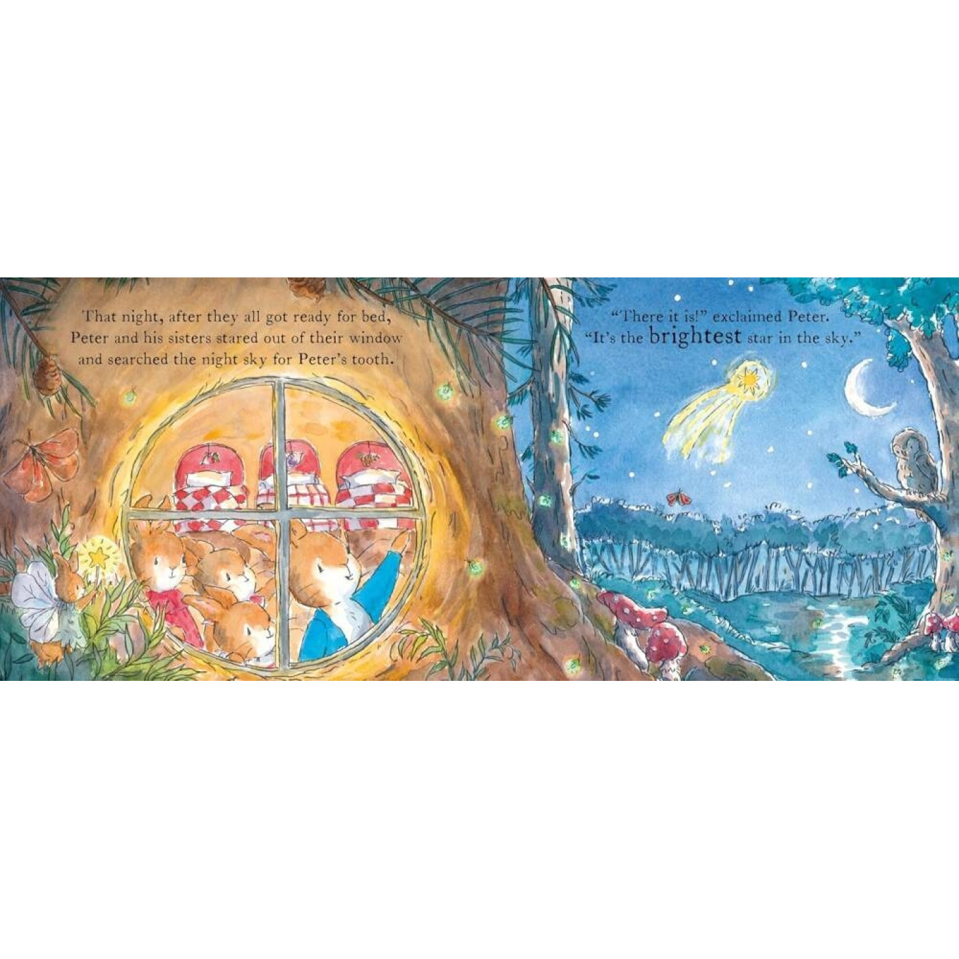 Puffin Peter Rabbit Tales: The Tooth Fairy - 689,00TL TL - Kikis Corner Peter Rabbit Tales: The Tooth Fairy - Hikaye Kitapları Görseli