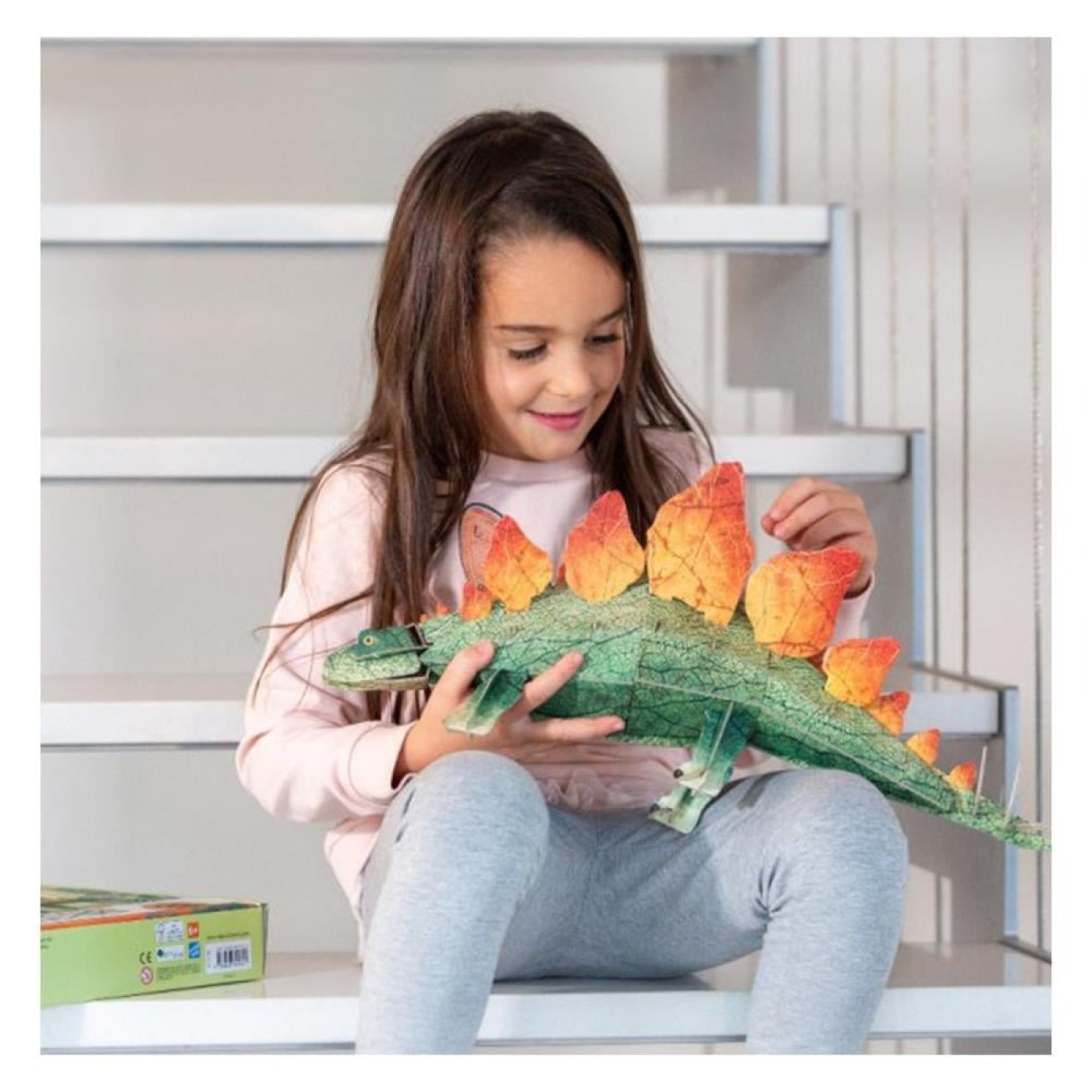 3D Stegosaurus - Kitap ve 3D Model 3D Stegosaurus - Kitap ve 3D Model