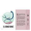 3D Stegosaurus - Kitap ve 3D Model 3D Stegosaurus - Kitap ve 3D Model