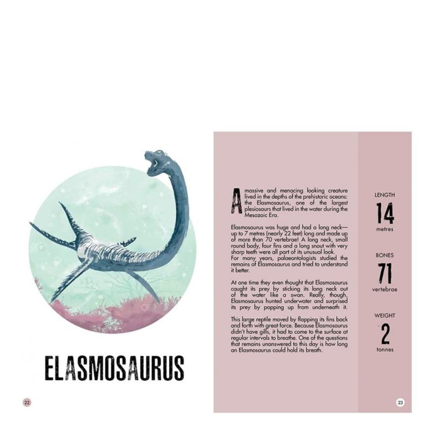 3D Stegosaurus - Kitap ve 3D Model 3D Stegosaurus - Kitap ve 3D Model