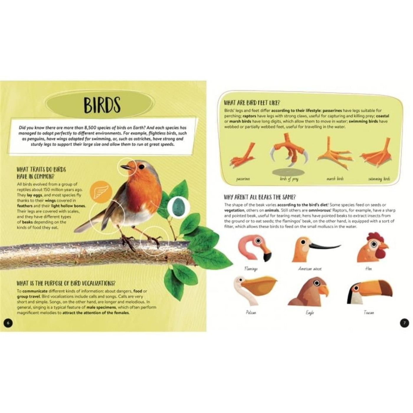 Puzzle - Atlas - Ayaklı Figür - Hayvanlar