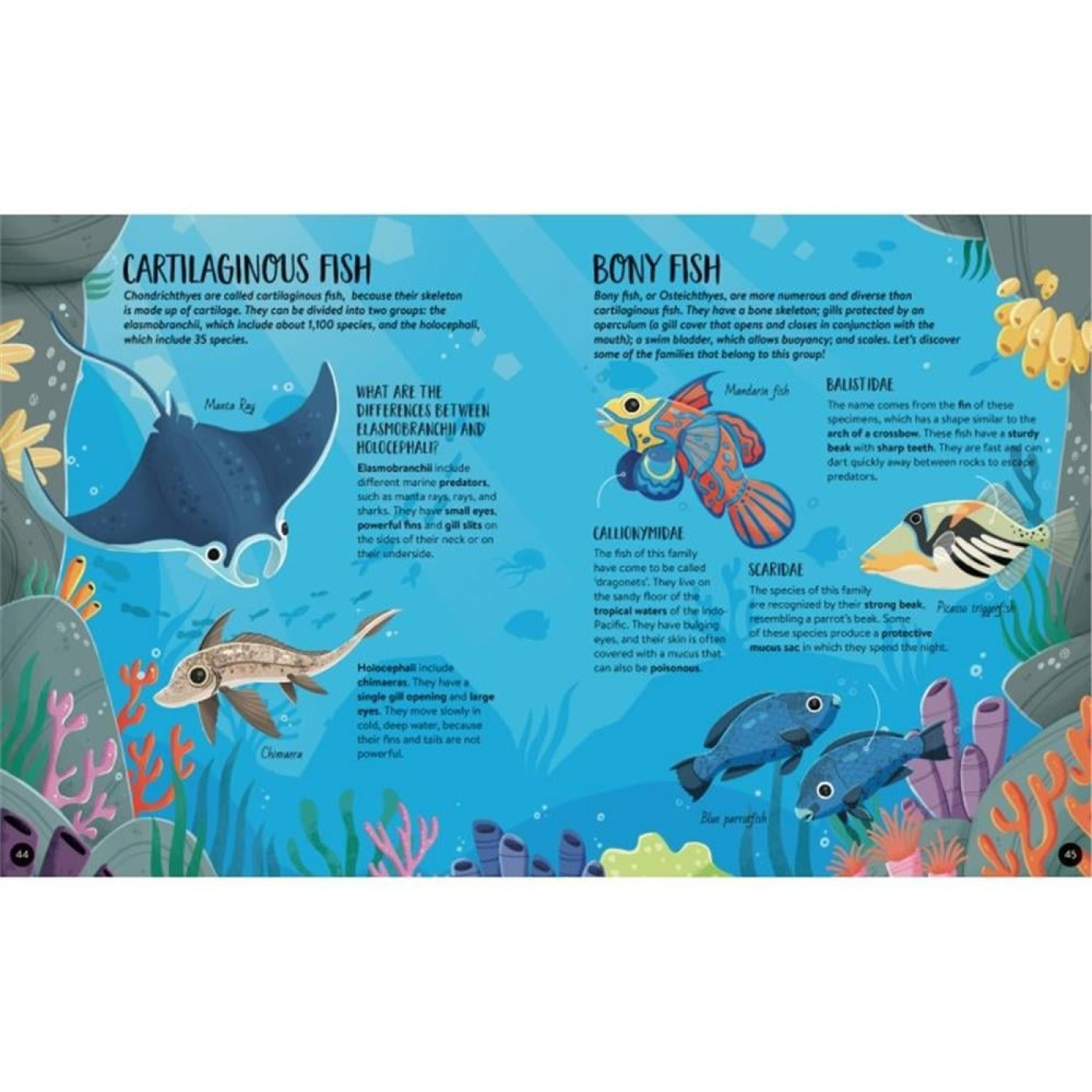 Puzzle - Atlas - Ayaklı Figür - Hayvanlar