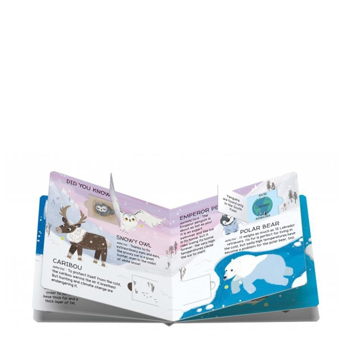 Animals To Save - Polar Ice - 9788830311589 - 9788830311589