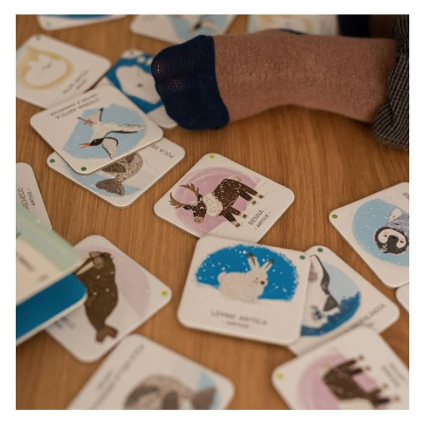 Animals To Save - Polar Ice - 9788830311589 - 9788830311589