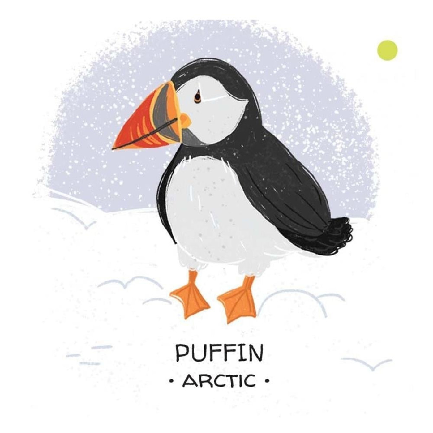 Animals To Save - Polar Ice - 9788830311589 - 9788830311589