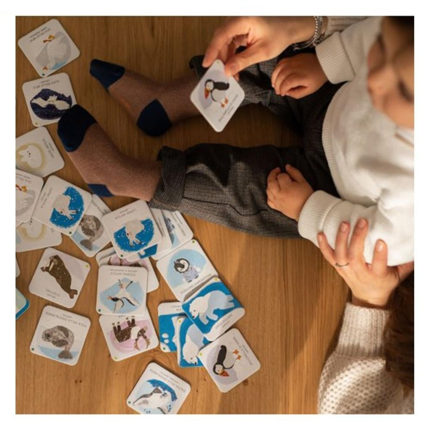 Animals To Save - Polar Ice - 9788830311589 - 9788830311589