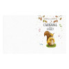 Le Carnaval De La Foret Le Carnaval De La Foret
