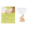 Printemps Calin Printemps Calin