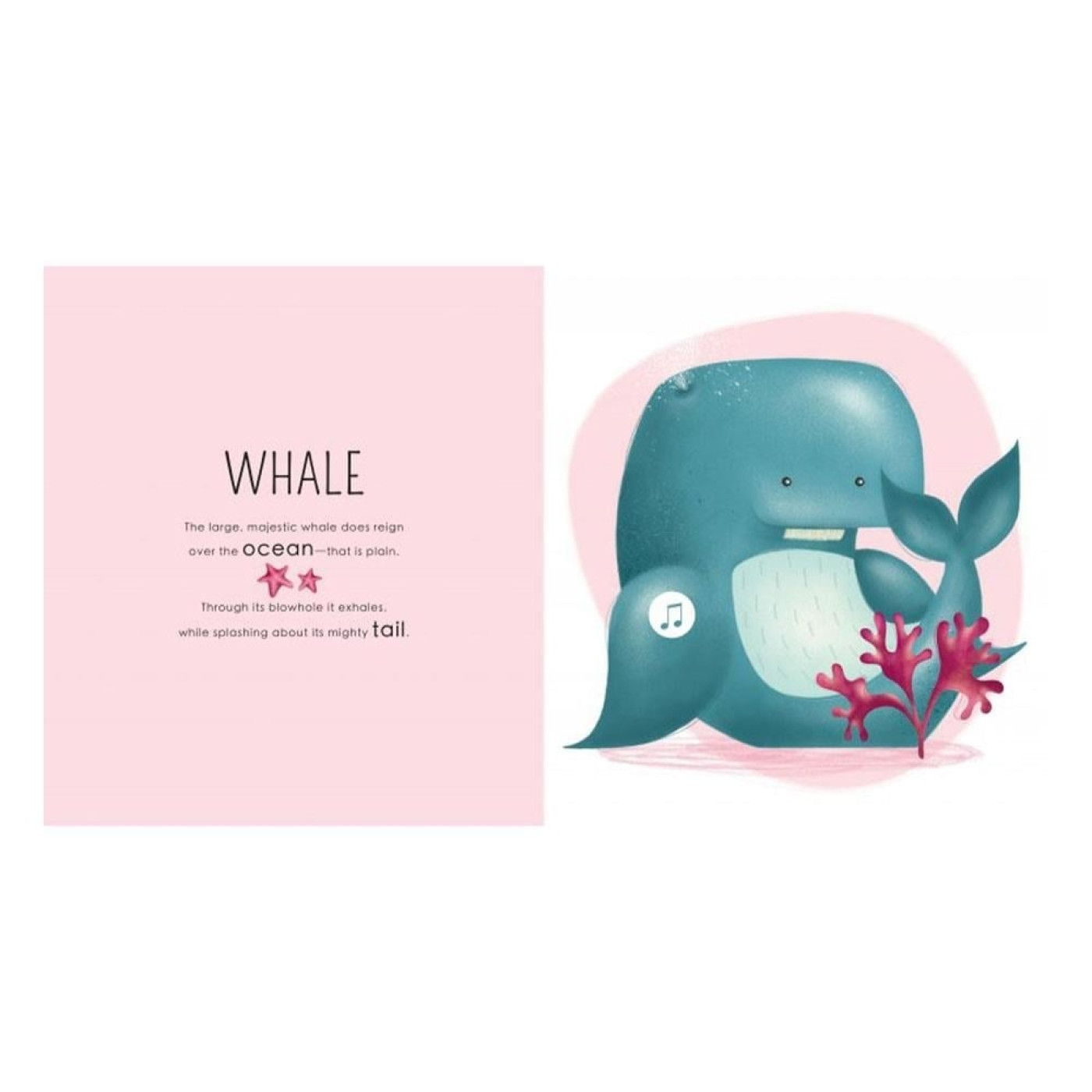 Who Lıves In The Sea