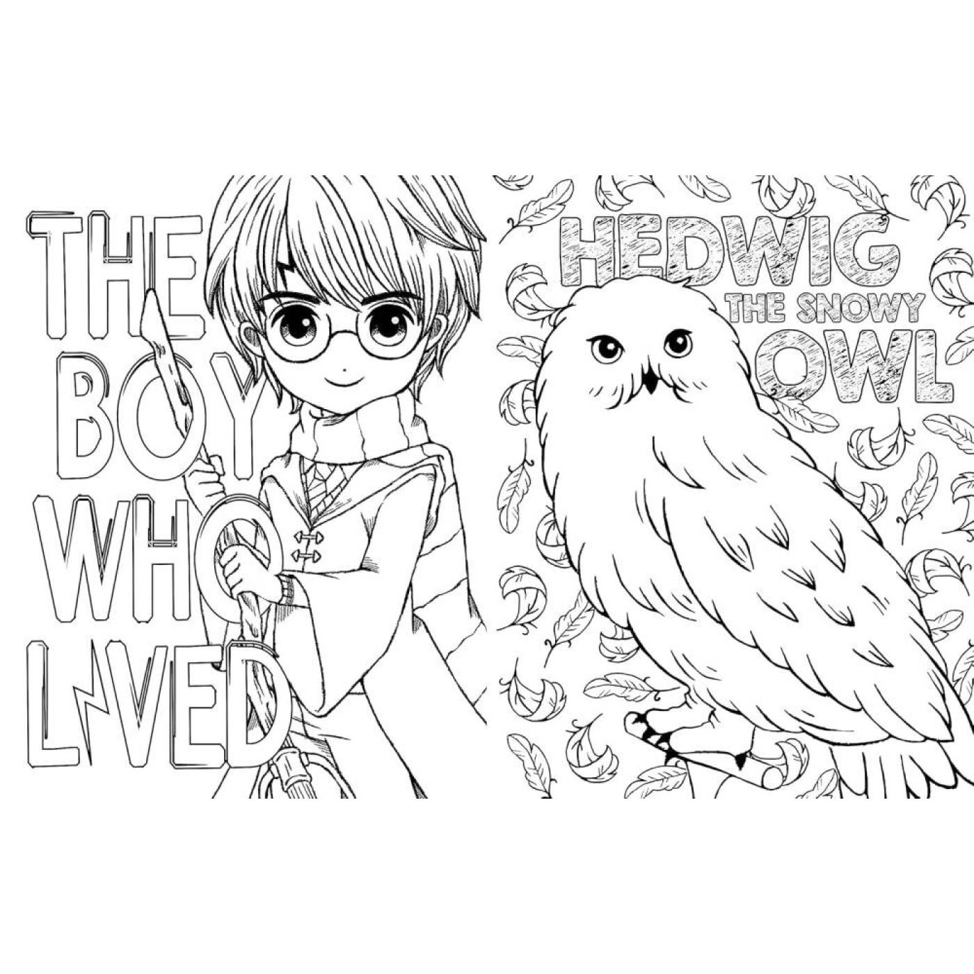 Harry Potter: Magical Art Colouring Book