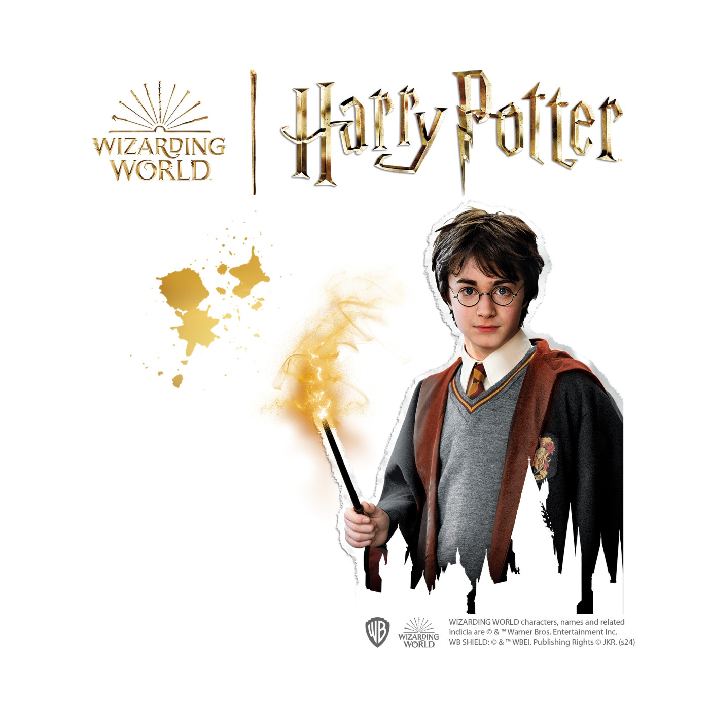 Harry Potter - Taş Boyama