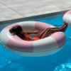 Luxe Tube Pool Ring Stole My Heart Pink Stripe - 9339296069165 Luxe Tube Pool Ring Stole My Heart Pink Stripe - S51HPRGL - 9339296069165