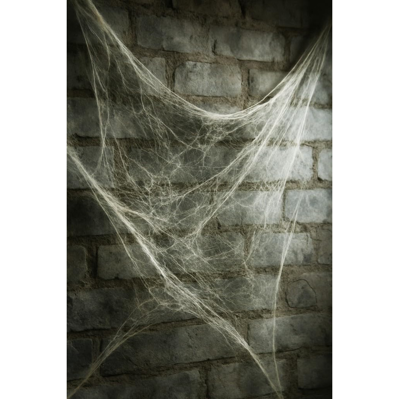 TM Halloween Örümcek Ağı Seti Beyaz - Halloween Görseli