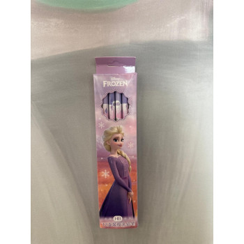 Frozen Kalem Paketi x12