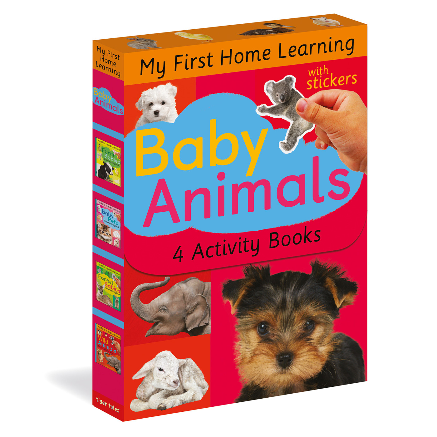 Tiger Tales - My First Home Learning: Baby Animals