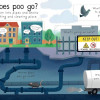First Questions And Answers: Where Does Poo Go? First Questions And Answers: Where Does Poo Go?