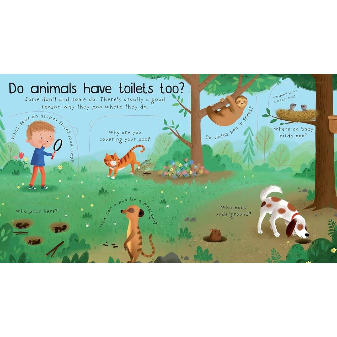 First Questions And Answers: Where Does Poo Go? First Questions And Answers: Where Does Poo Go?