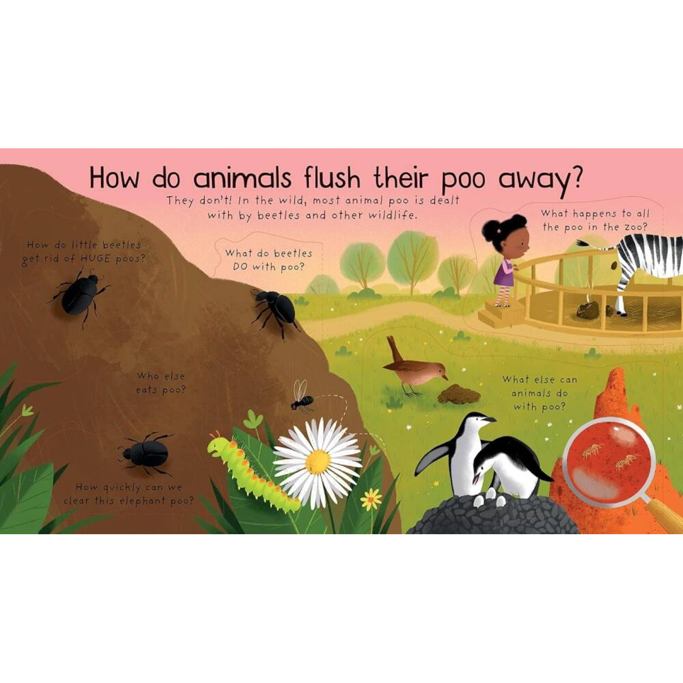 First Questions And Answers: Where Does Poo Go? First Questions And Answers: Where Does Poo Go?