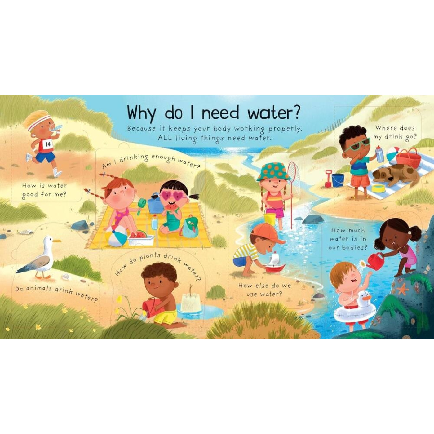 First Questions and Answers: Where does water come from? First Questions and Answers: Where does water come from?