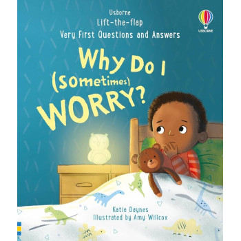 Lift-the-flap Very First Questions and Answers: Why Do I (Sometimes) Worry?