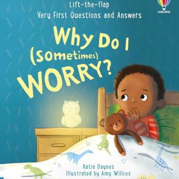 Lift-the-flap Very First Questions and Answers: Why Do I (Sometimes) Worry?