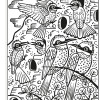 Usborne - Magic Painting Books: Birds