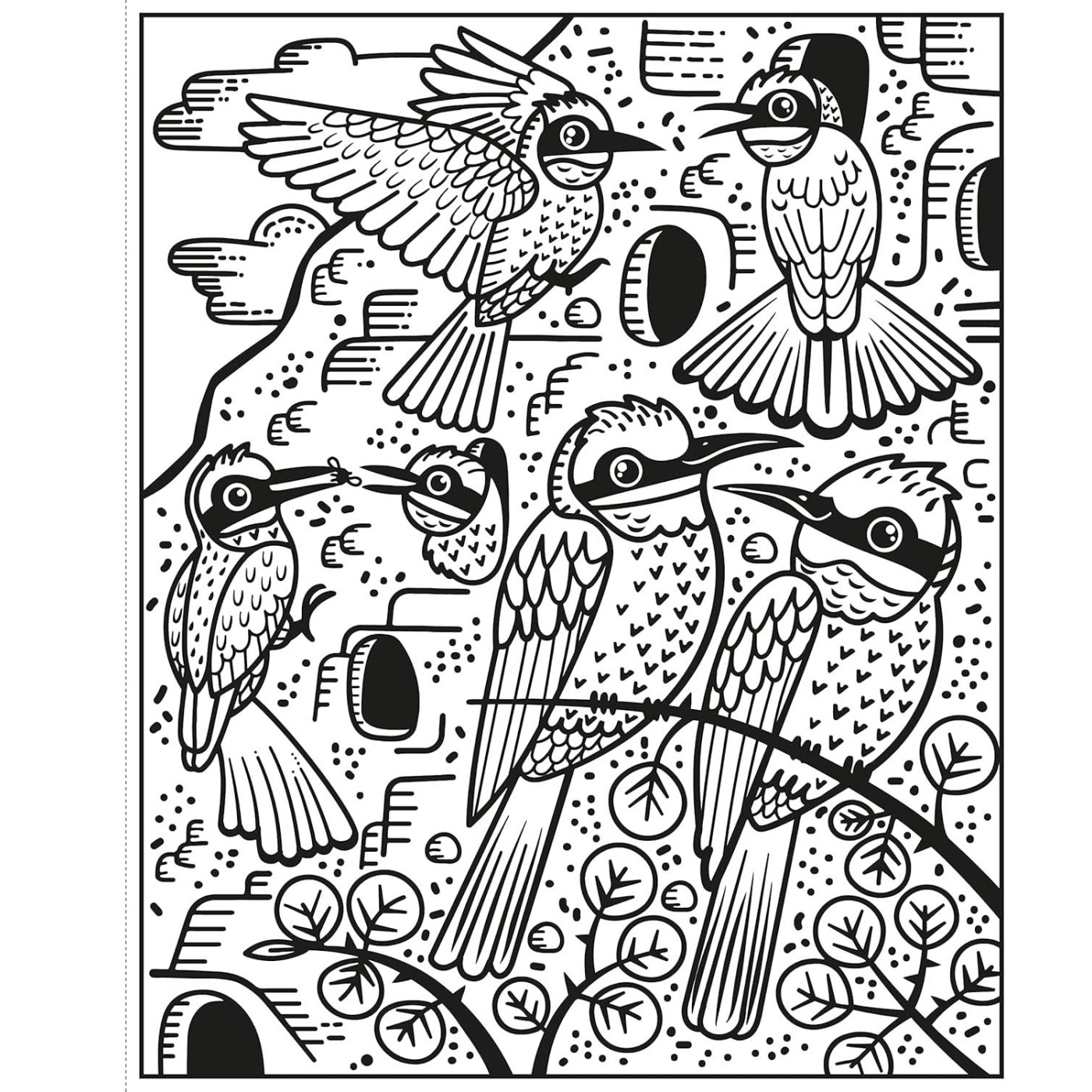 Usborne - Magic Painting Books: Birds
