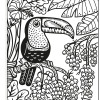 Usborne - Magic Painting Books: Birds