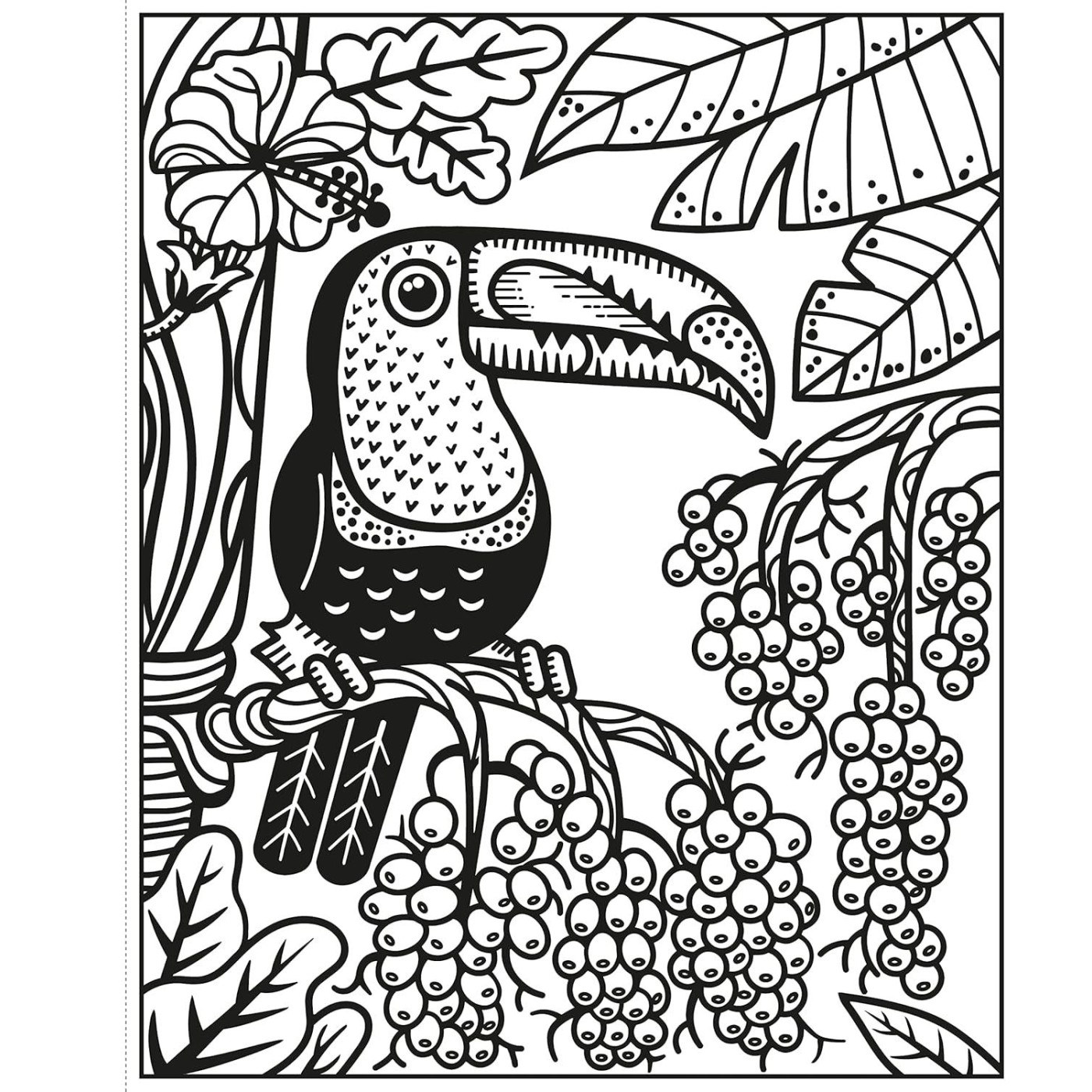 Usborne - Magic Painting Books: Birds