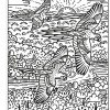 Usborne - Magic Painting Books: Birds