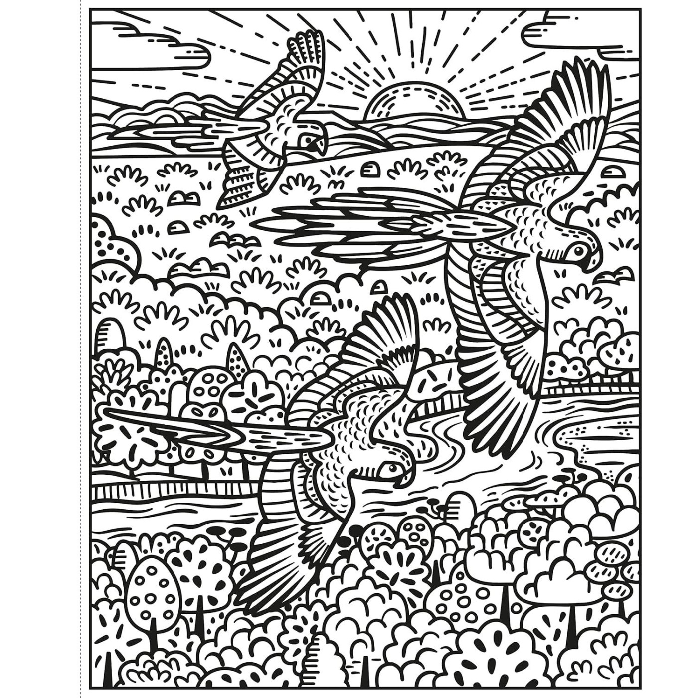 Usborne - Magic Painting Books: Birds