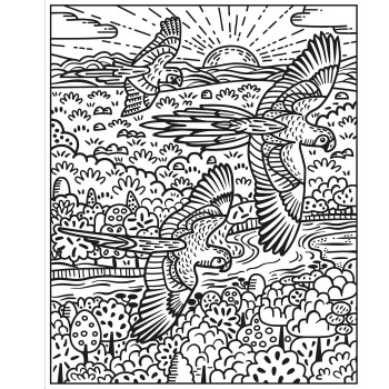 Usborne - Magic Painting Books: Birds