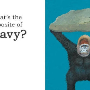Big Gorilla: A Book of Opposites