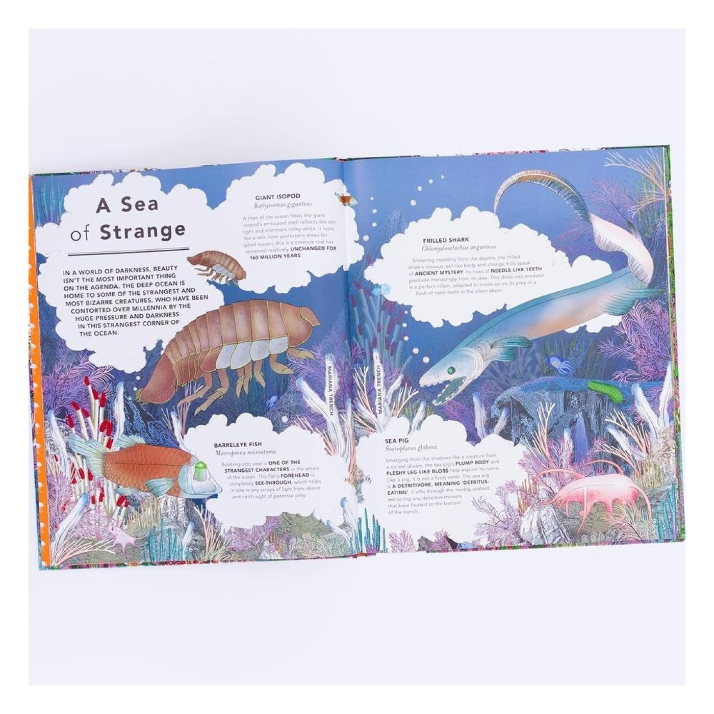 The Fantastical Safari - 9780711296725 - 9780711296725