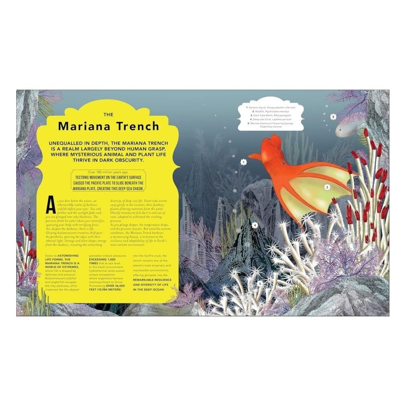 The Fantastical Safari - 9780711296725 - 9780711296725