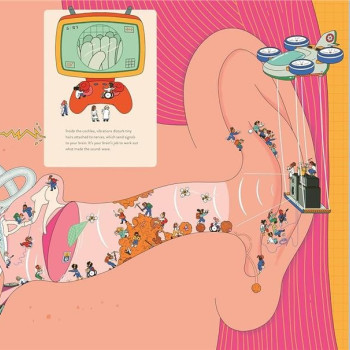 Up Close and Incredible - Human Body Up Close and Incredible - Human Body