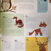 Yoyo Books - Amazing Junior Atlas: Animals
