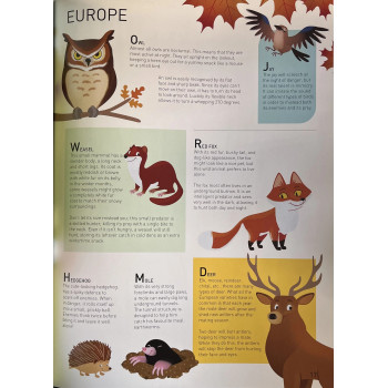 Yoyo Books - Amazing Junior Atlas: Animals