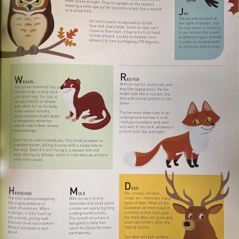 Yoyo Books - Amazing Junior Atlas: Animals