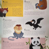 Yoyo Books - Amazing Junior Atlas: Animals